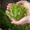 Dried Green Tea Zhe Jiang Mountain 150g